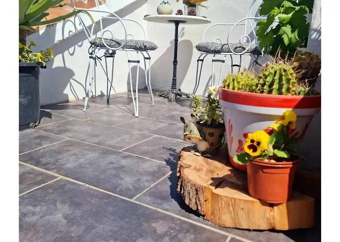 Oasis De